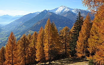 Kruidenwandeling in de herfst in zuid Tirol