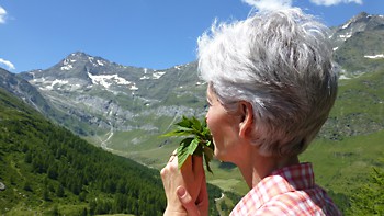 Kruidenreis in zuid Tirol met herboriste