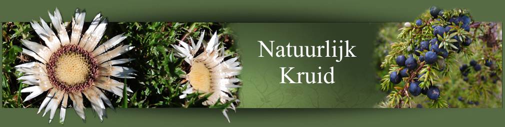 Natuurlijk Kruid