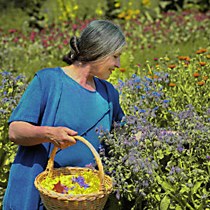 Kruidenvrouw in Ultental